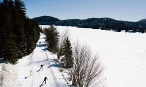 A snowy landscape with a clear sky, a few skiers, and a forested area.