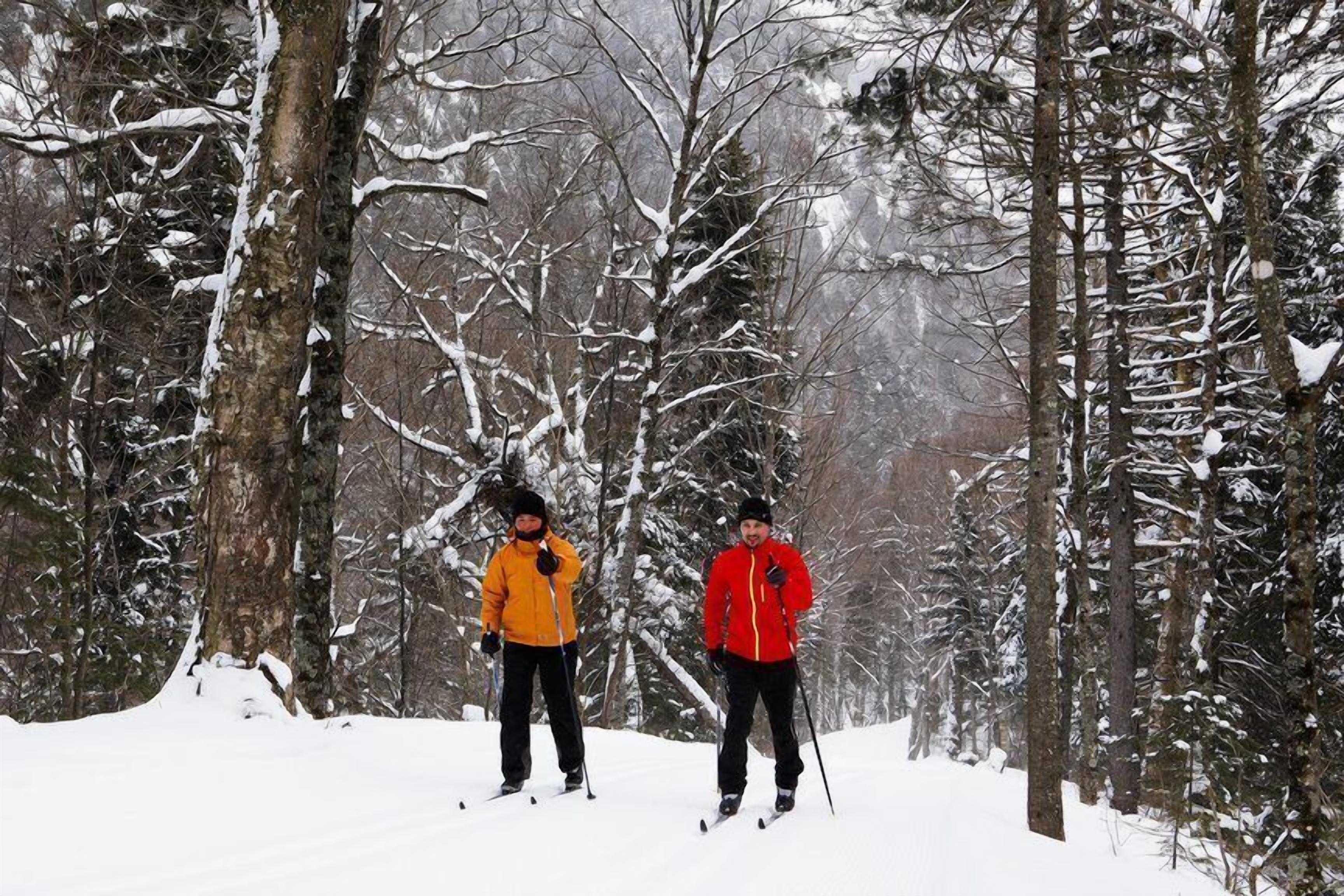 Dos personas esquiando en un bosque nevado.