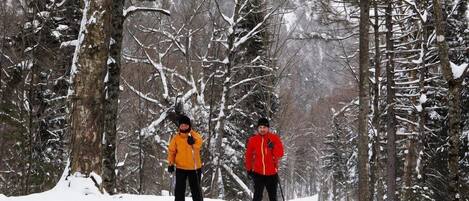 Dos personas esquiando en un bosque nevado.