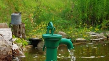 Una bomba de agua verde en un entorno natural, con un estanque y follaje al fondo.