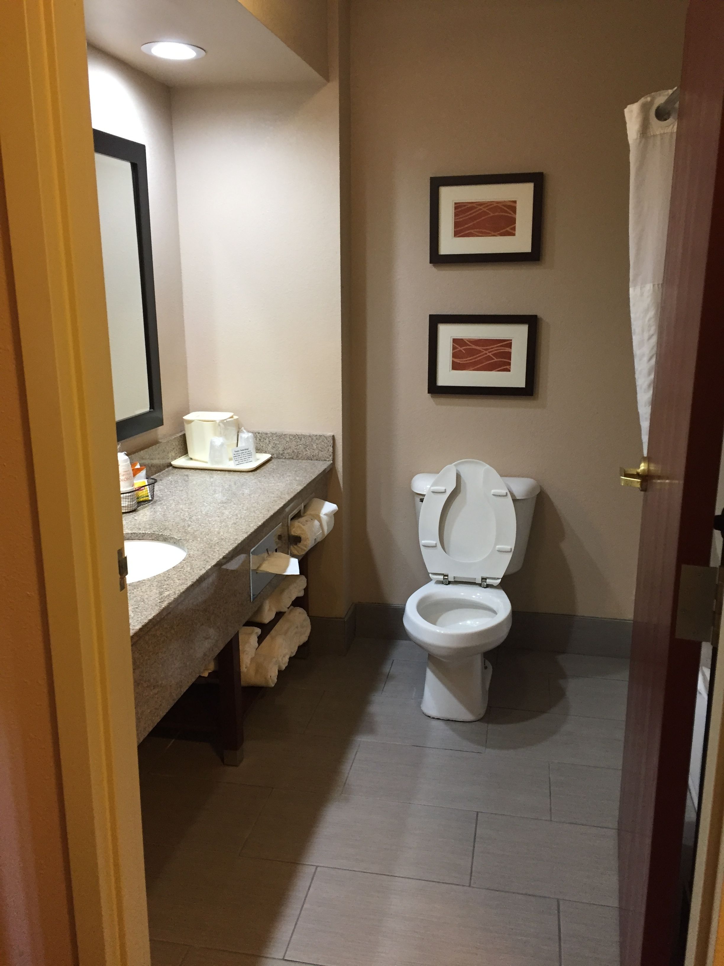 combined shower/bathtub, free toiletries, hair dryer, towels