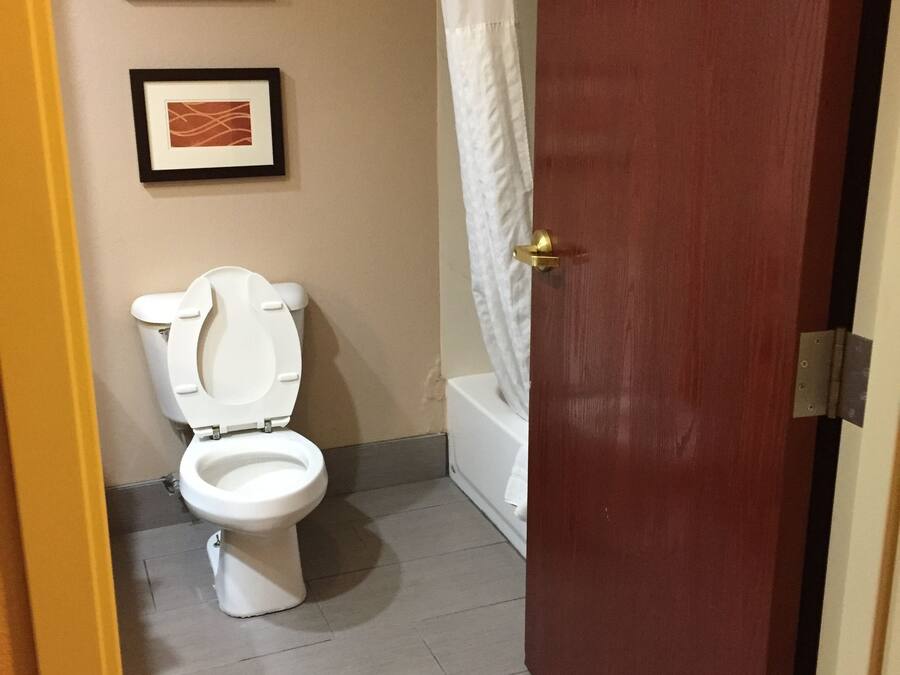 A bathroom with a toilet, a bathtub, and a shower curtain. There are two framed pictures on the wall.
