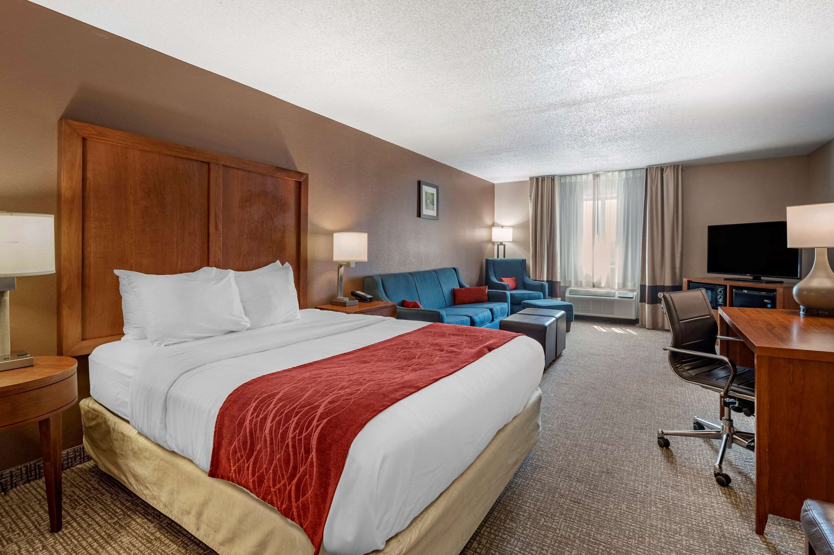 premium bedding, desk, iron/ironing board, free cots/infant beds