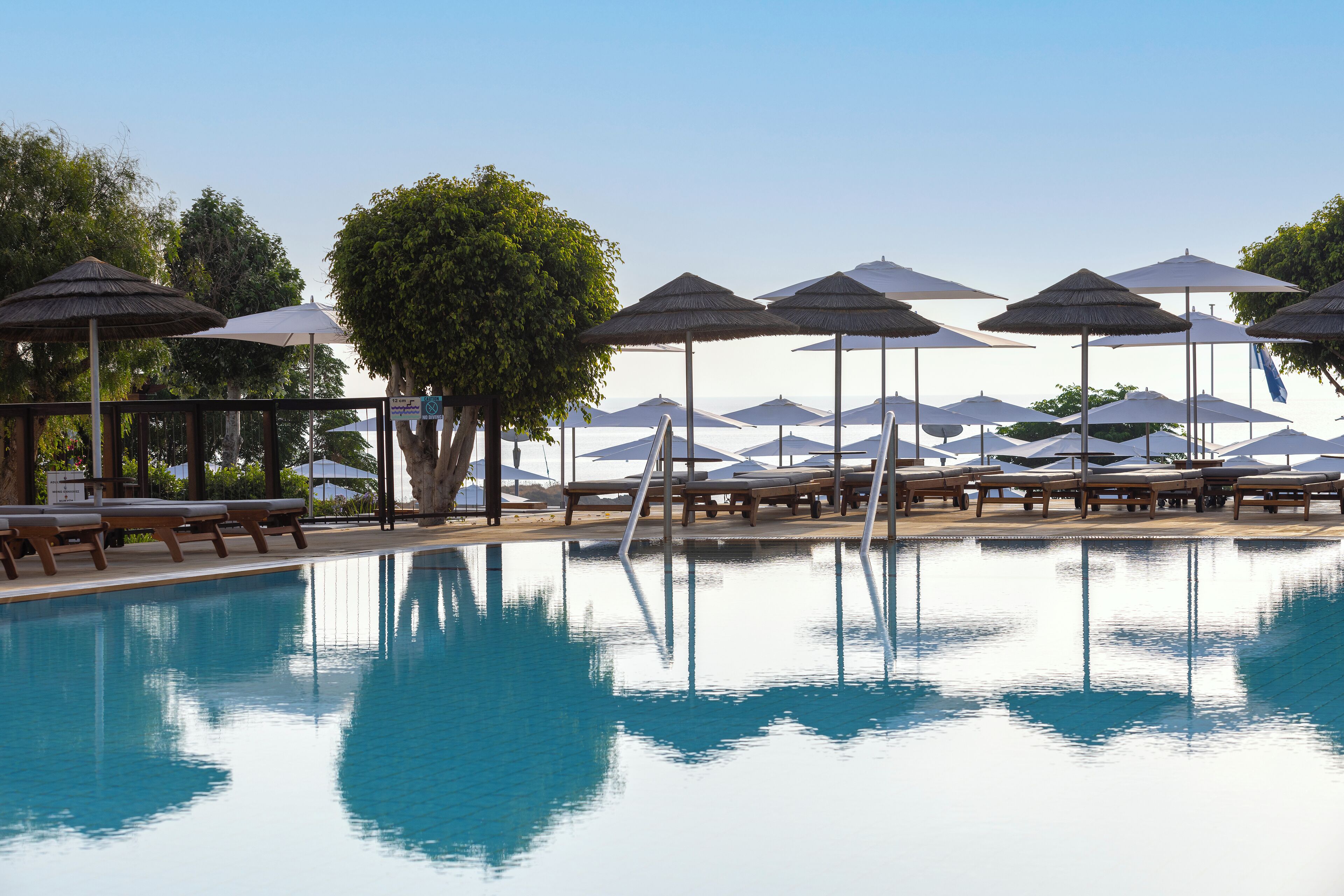 A pool with lounge chairs and umbrellas, surrounded by trees and a clear sky.