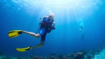 A diver underwater with a camera, surrounded by marine life and coral formations.