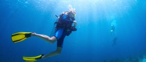 A diver underwater with a camera, surrounded by marine life and coral formations.