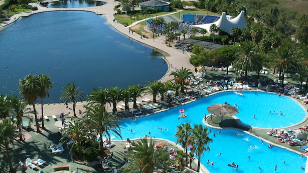 Une grande piscine avec plusieurs couloirs de nage, entourée de palmiers et de chaises longues.