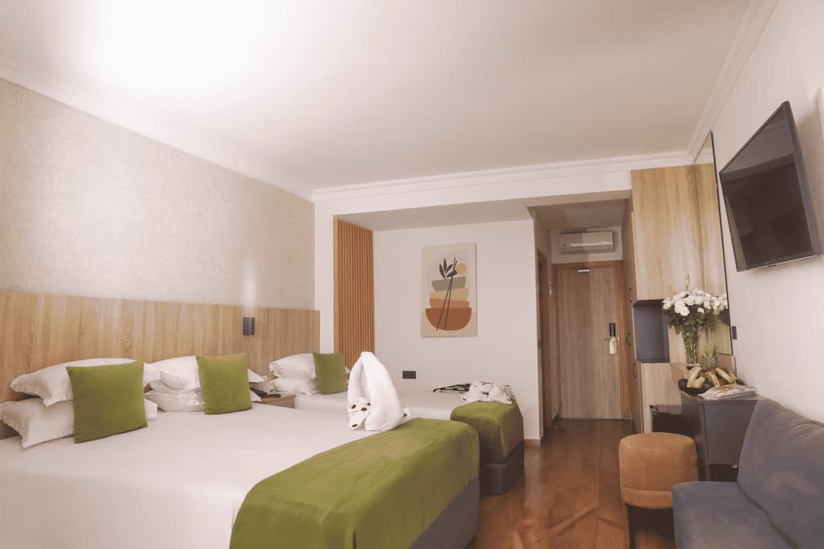 A hotel room with a large bed, a sofa, a TV, and a small table with a vase of flowers.