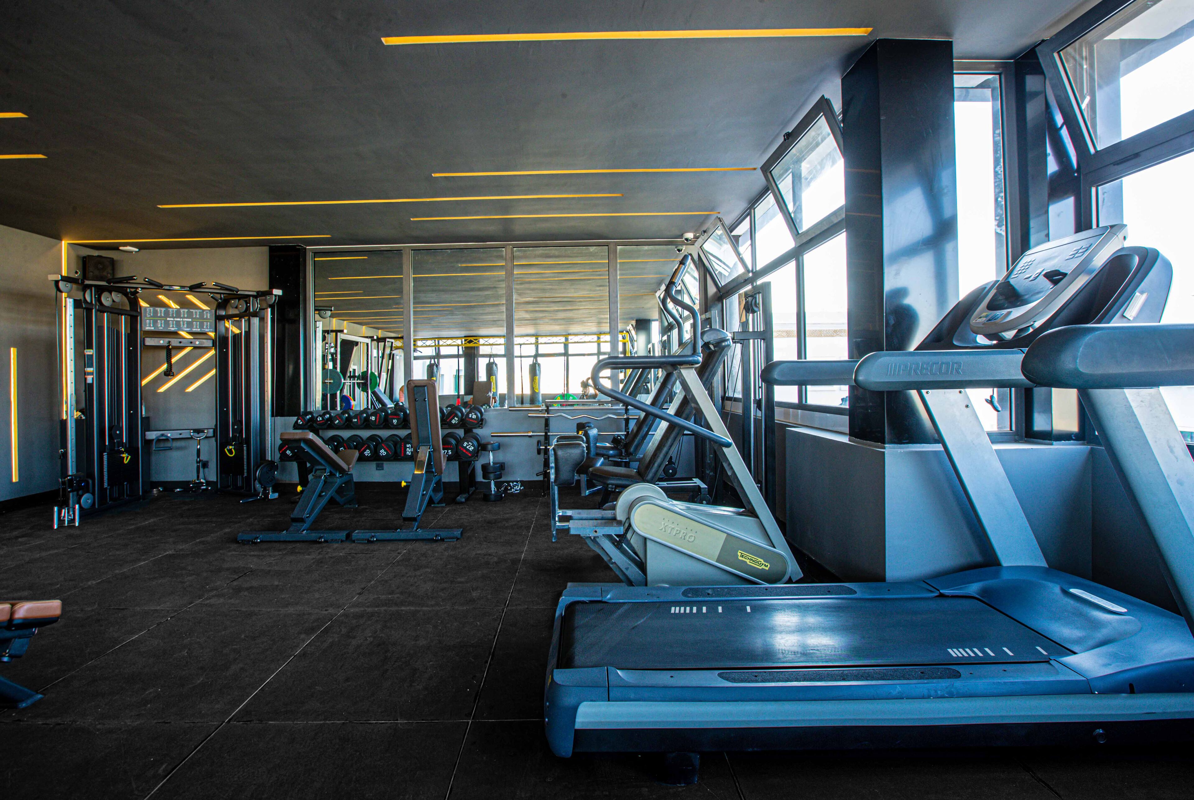 A gym with treadmills, weight machines, and free weights.