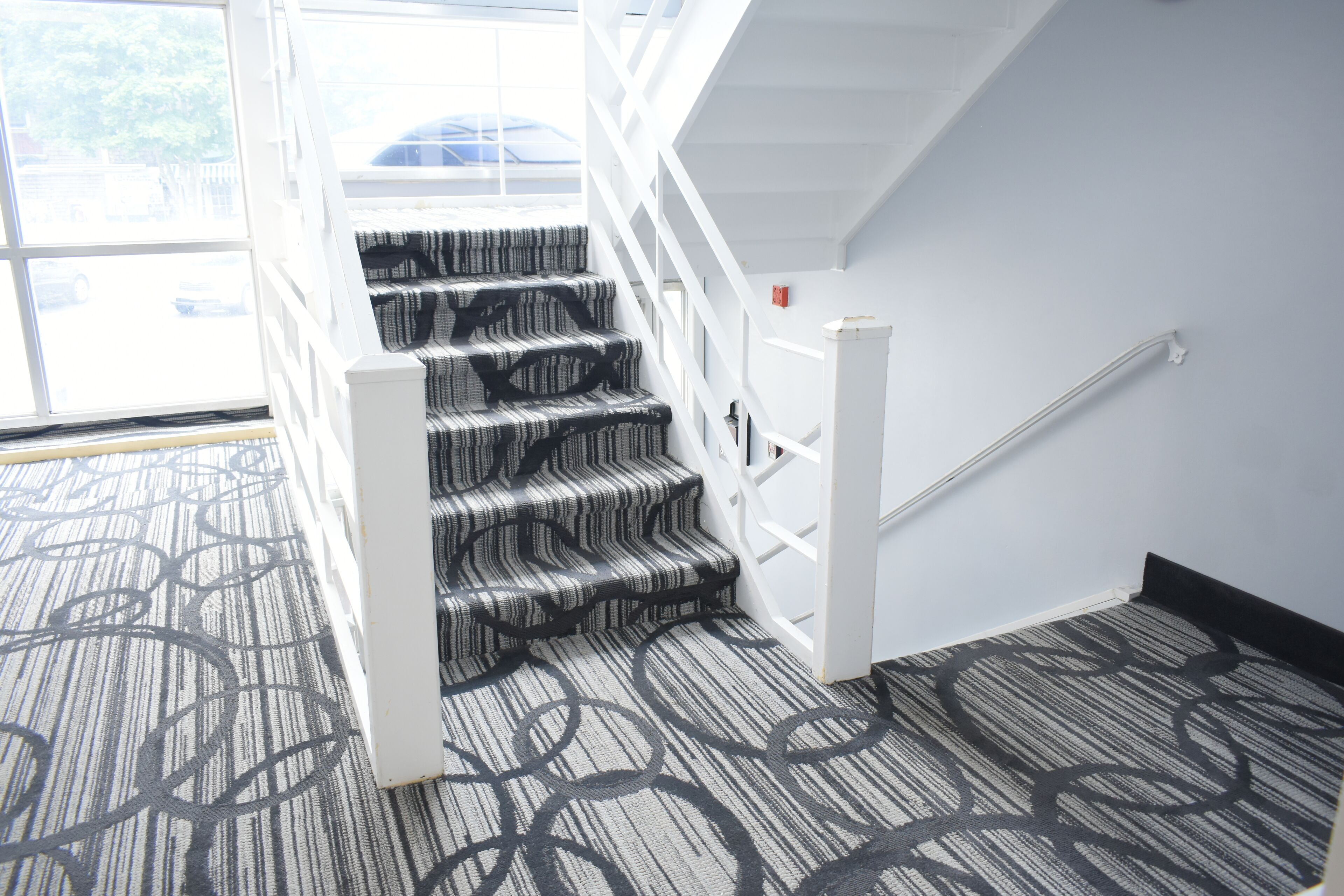 A staircase with a patterned carpet and white railings.