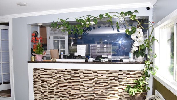 A reception desk with a modern design, featuring a patterned wall and a hanging plant. - Pilgrim Inn & Cottages (Plymouth)