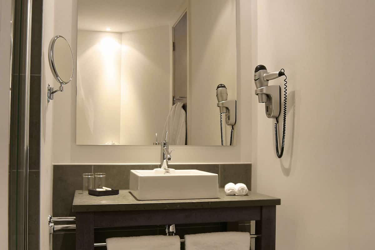 combined shower/bathtub, free toiletries, hair dryer, towels