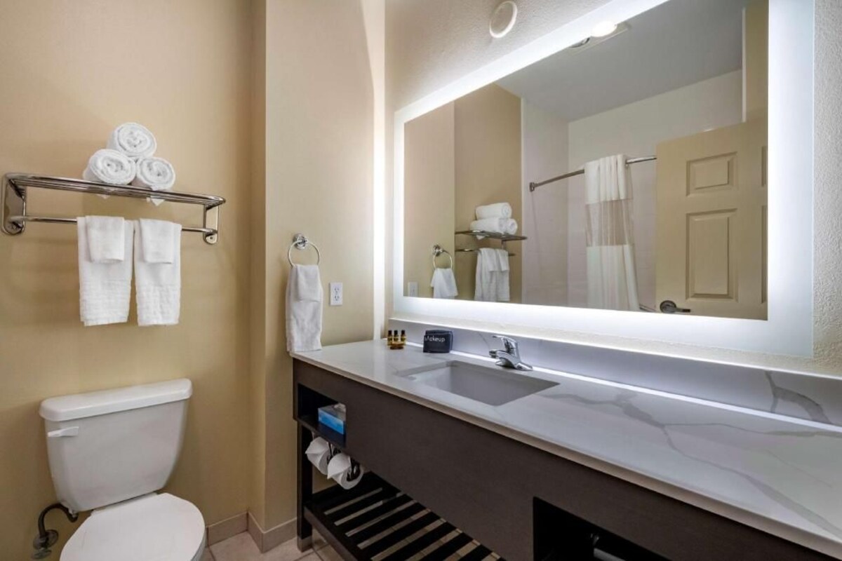 A bathroom with a toilet, a sink, a large mirror, and towel racks.