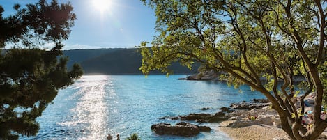 Plage à proximité, canoë