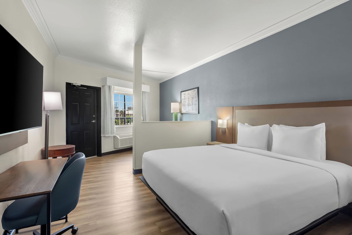 Room, 1 King Bed