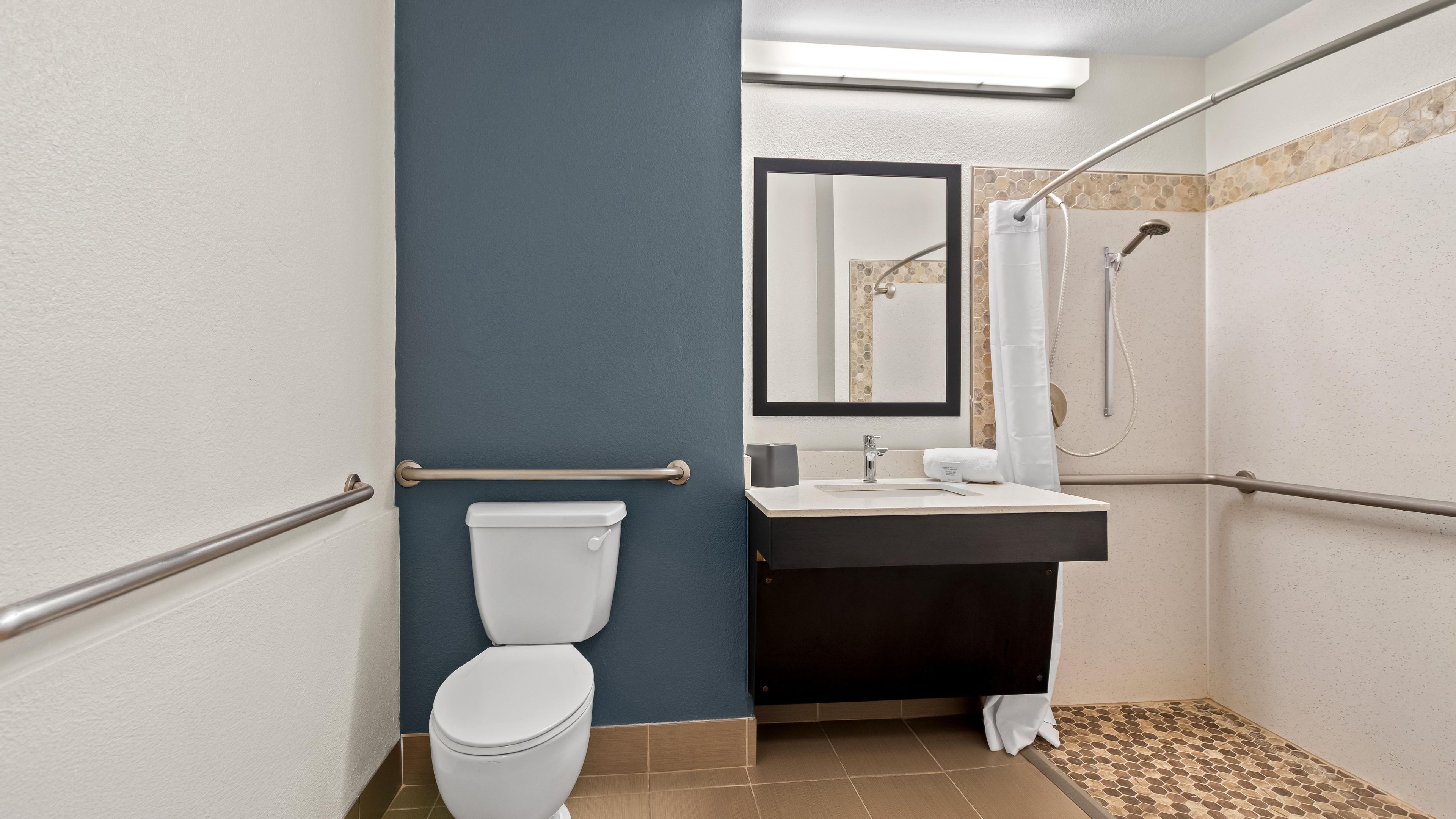 A bathroom with a white toilet, a sink, a mirror, and a shower with a handheld showerhead.