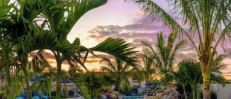 Piscina a l'aire lliure, piscina climatitzada, para-sols i gandules