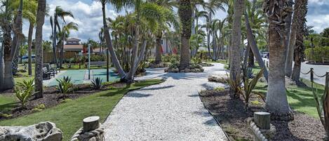 A pathway lined with palm trees leading to a building with a pool.