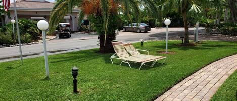 A well-maintained lawn with a lounge chair, a paved walkway, and a palm tree.
