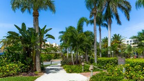 A pathway lined with palm trees and tropical plants, leading to a building with a white facade.