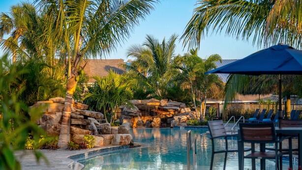A pool area with a waterfall feature, lounge chairs, and palm trees.