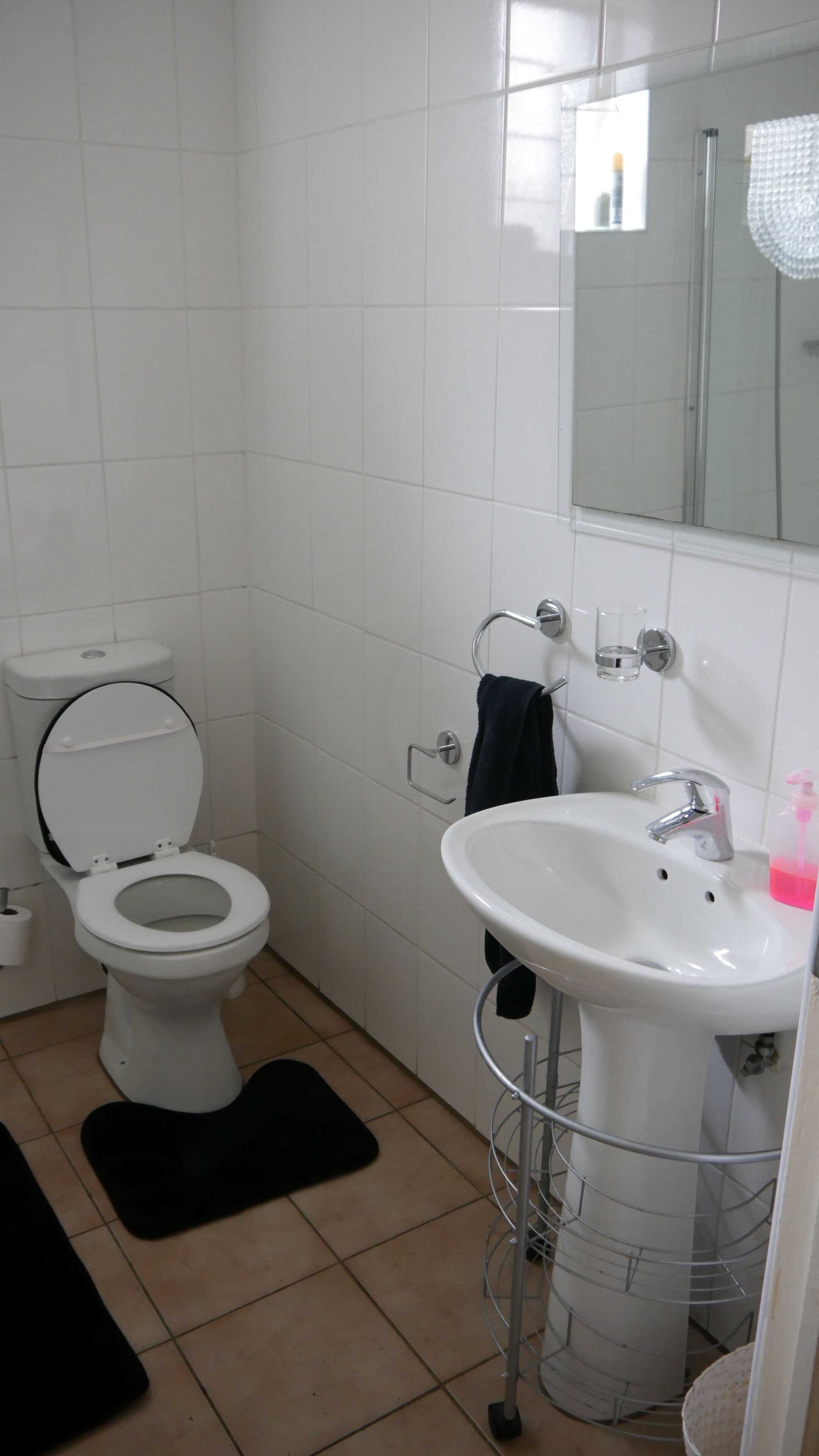 A bathroom with a toilet, sink, and mirror.