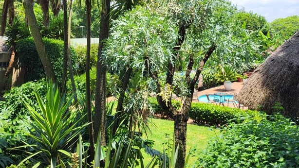 Een weelderige tuin met verschillende tropische planten en een constructie met rieten dak.