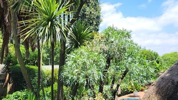 Deluxe Room, 1 Bedroom, Pool View | Garden view