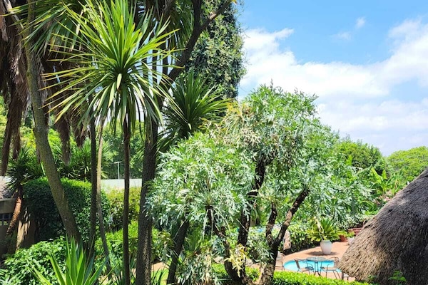 Habitación Deluxe, 1 habitación, vista a la alberca | Vista al jardín