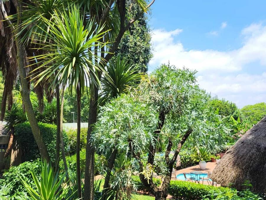 Deluxe Room, 1 Bedroom, Pool View | Garden view