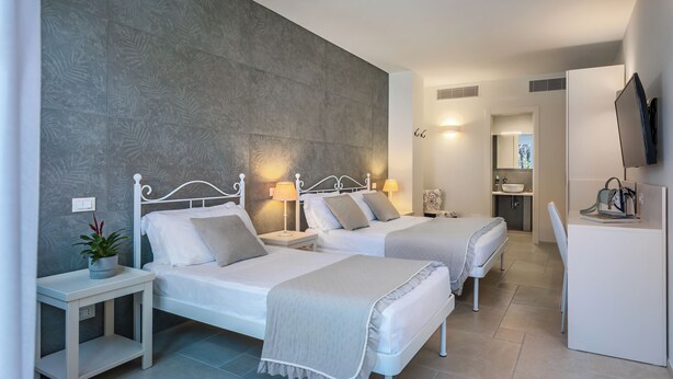 Habitación de hotel con dos camas, una mesita con una planta, un escritorio con una silla y un televisor en la pared.