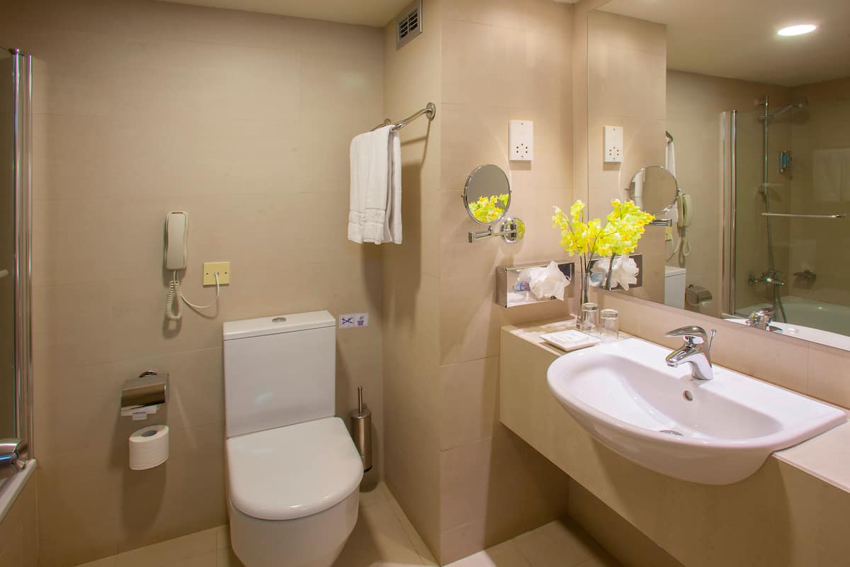 hair dryer, bidet, towels