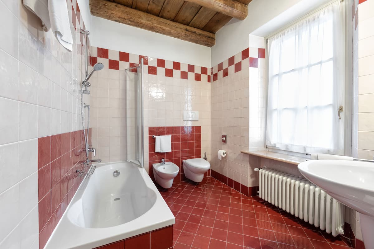 classic room | bathroom | combined shower/bathtub, free toiletries, hair dryer, bidet