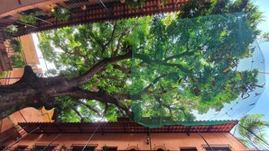 Un edificio con un árbol en primer plano, un balcón con barandilla y vistas al cielo.