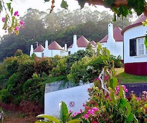 Jardín