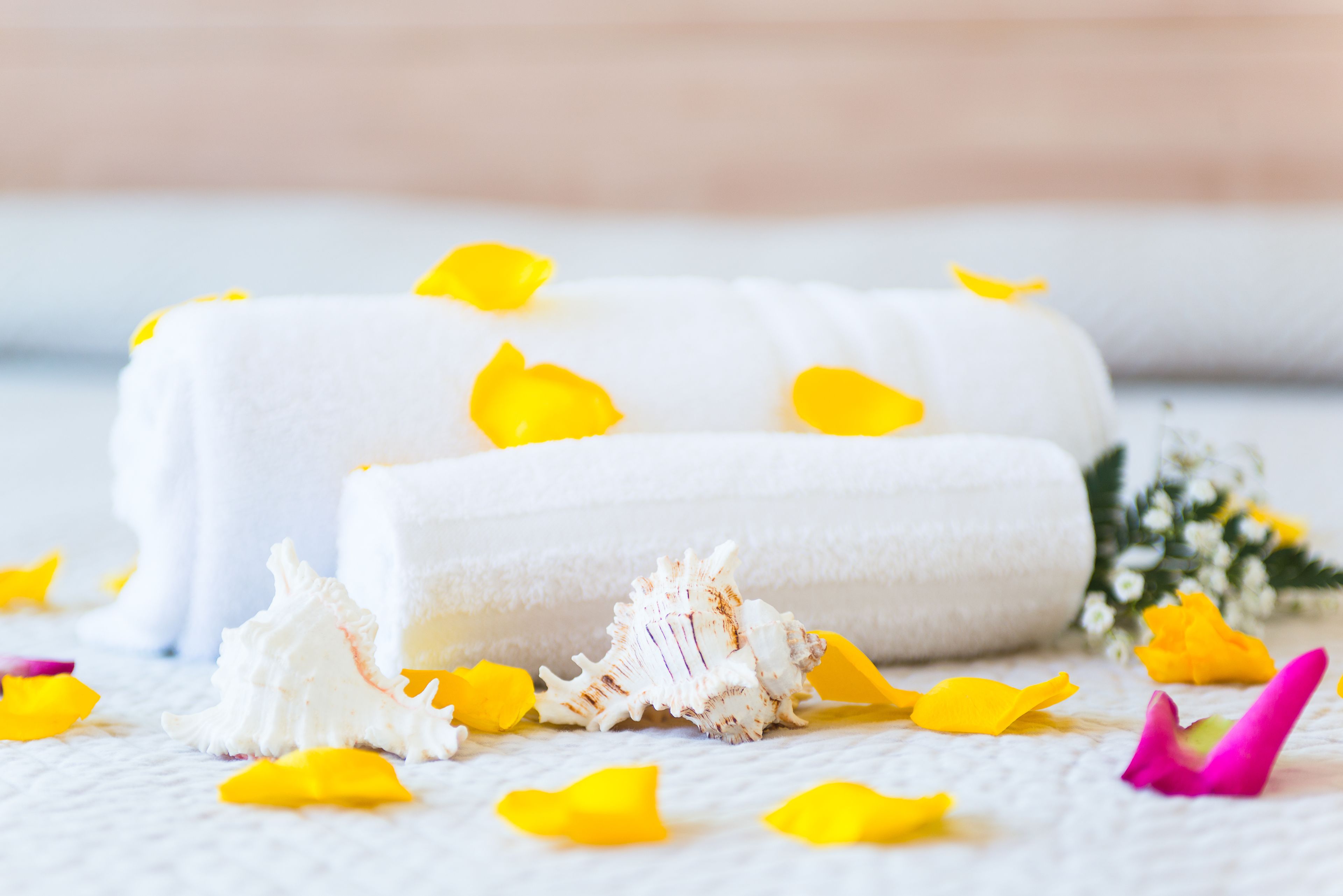 single room | minibar, in-room safe, desk, laptop workspace