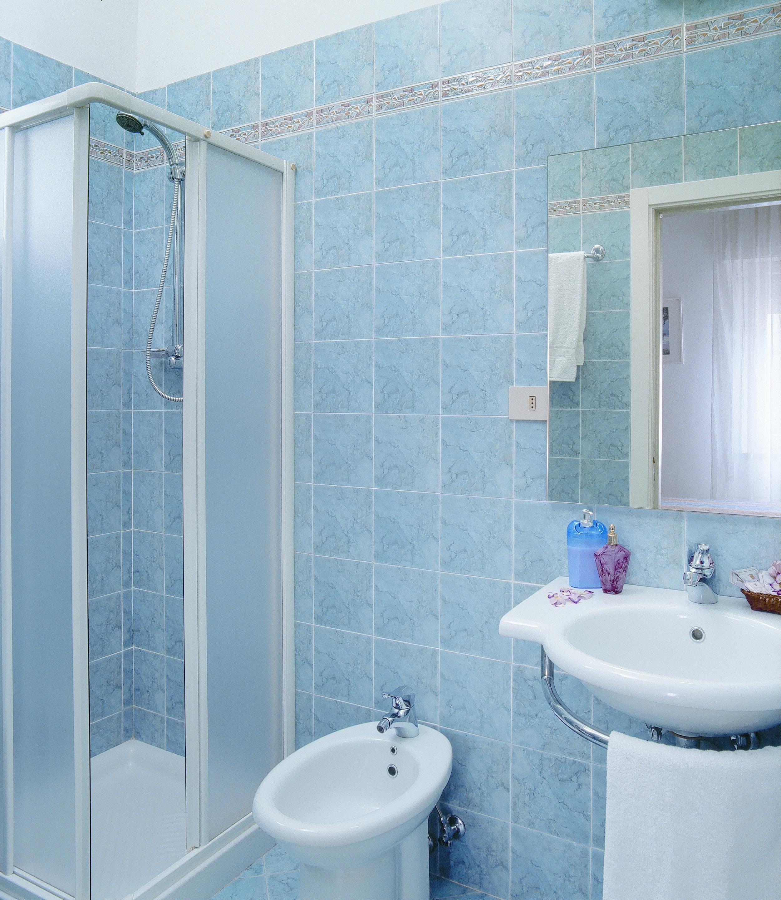 shower, free toiletries, hair dryer, bidet