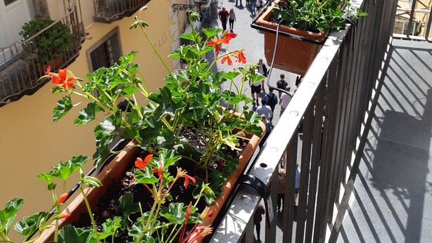 A balcony with potted plants and a view of a busy street below. - Hotel Antica Repubblica (Amalfi)