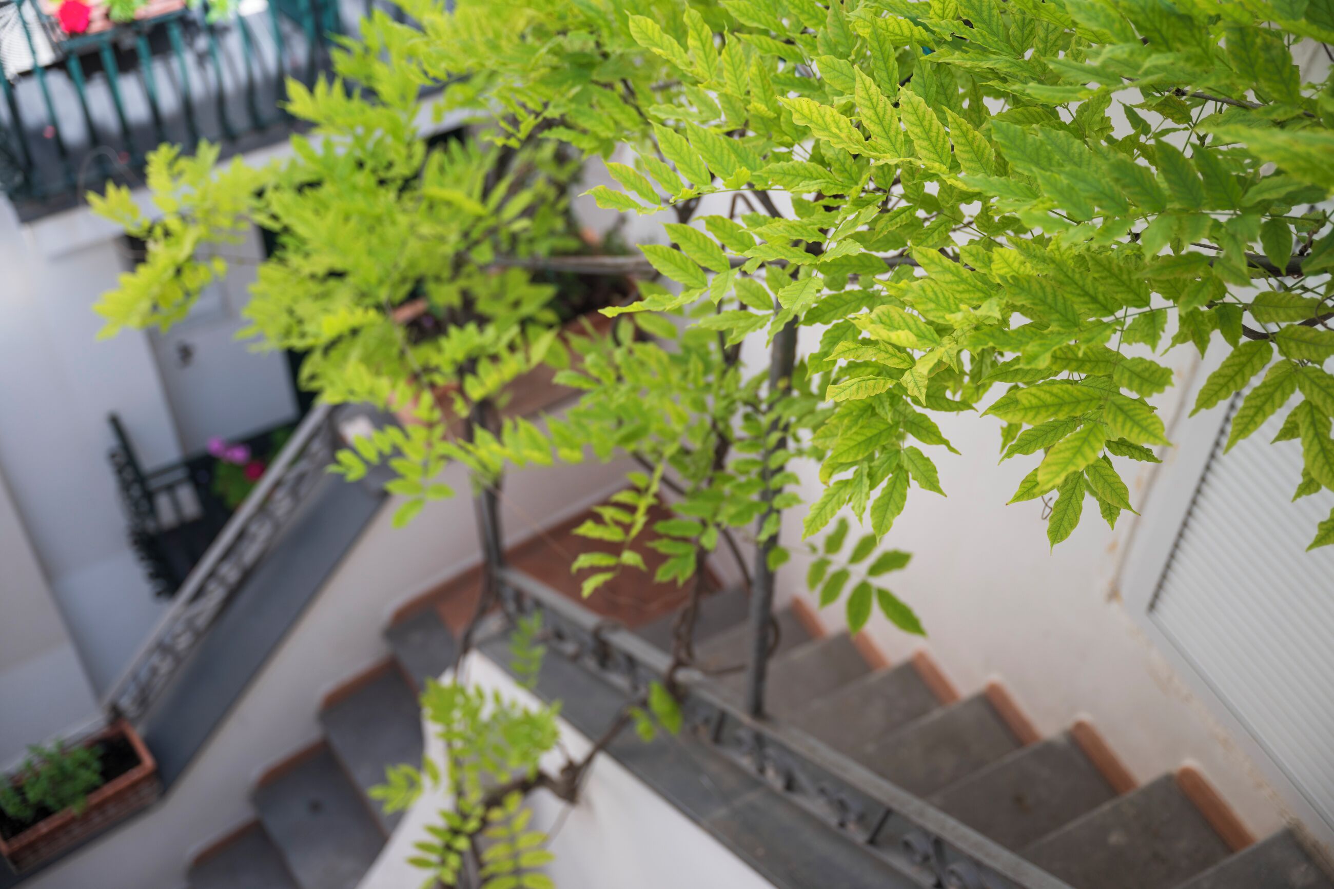 Photo - Hotel Antica Repubblica in Amalfi center at 100mt from the sea