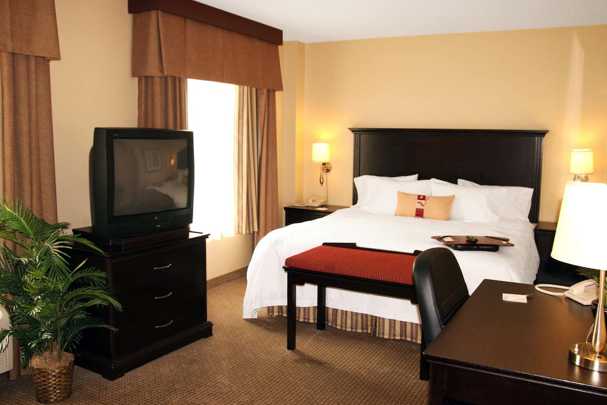 Una habitación de hotel con cama, escritorio, televisión, lámpara y planta.