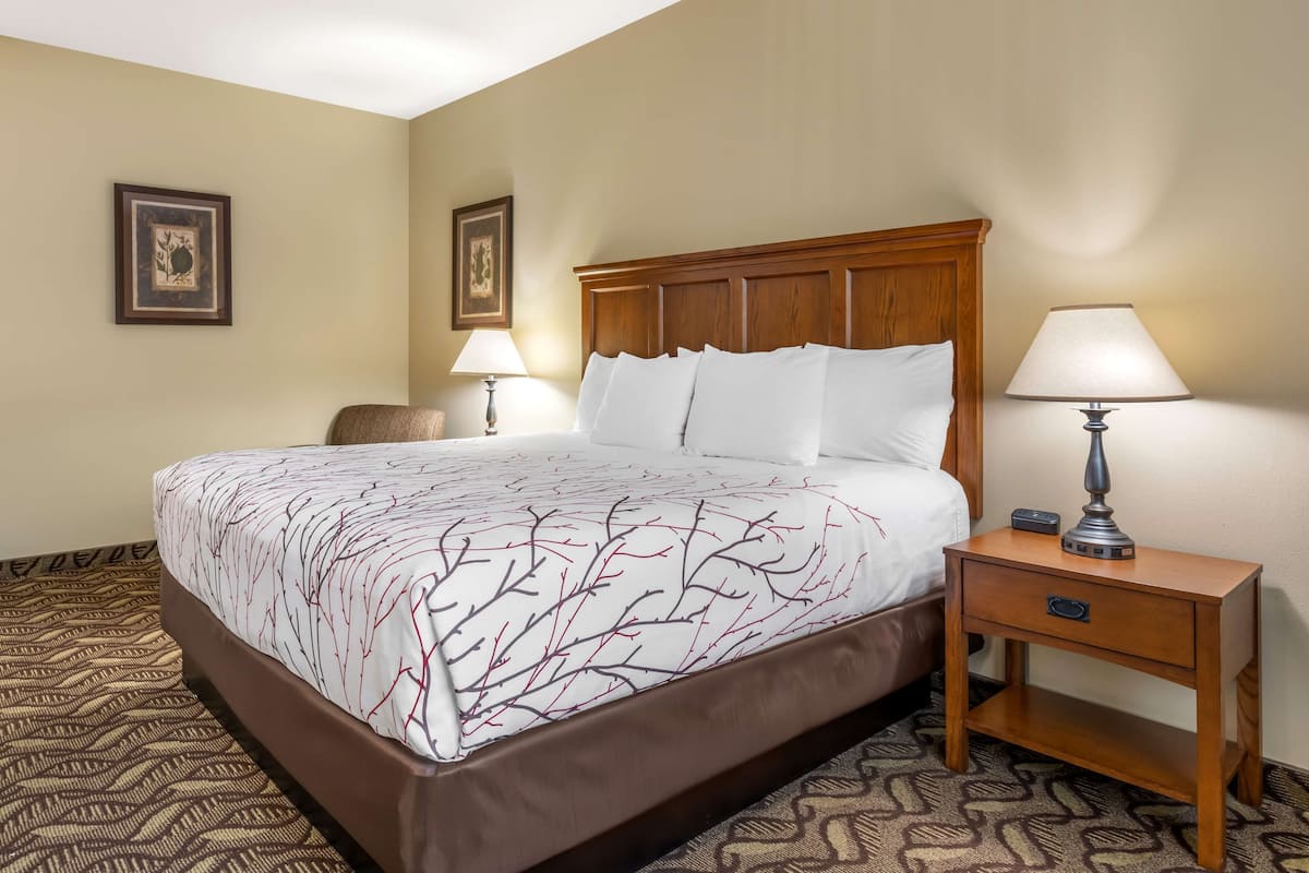 A hotel room with a large bed, a wooden nightstand with a lamp, and two wall-mounted lamps.