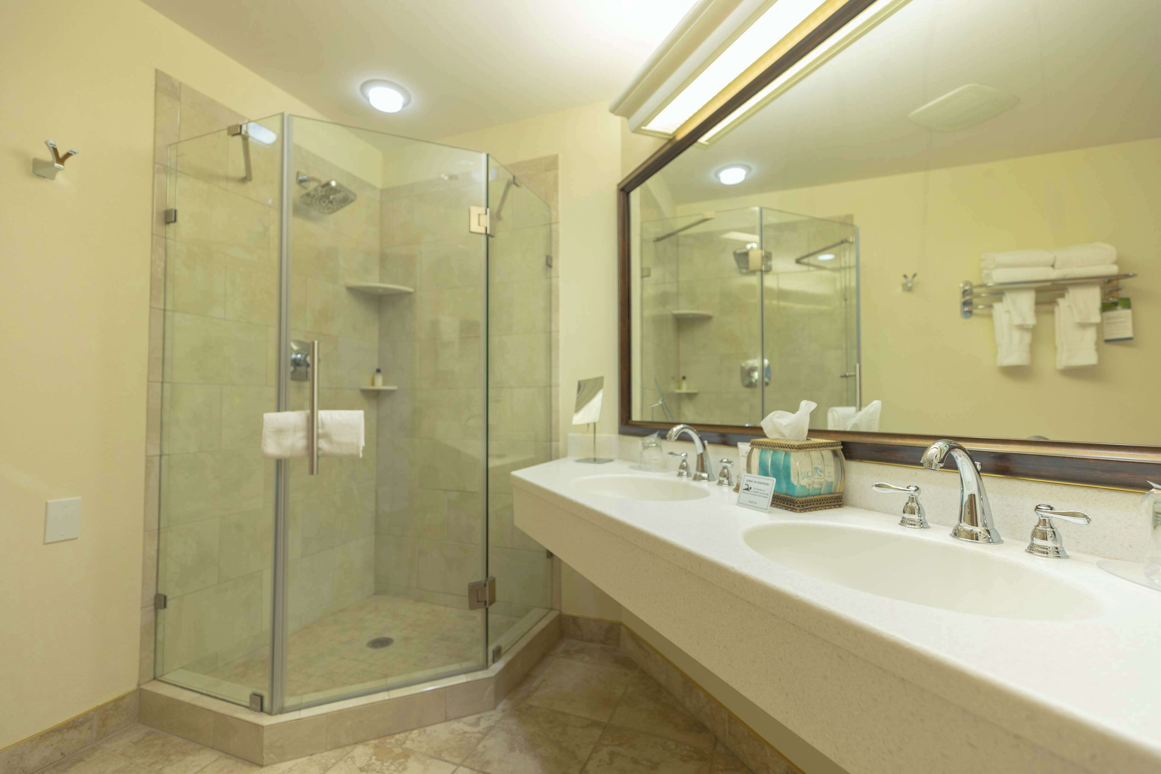 suite, 1 king bed, jetted tub, river view (oversized room) | bathroom | free toiletries, hair dryer, towels, soap