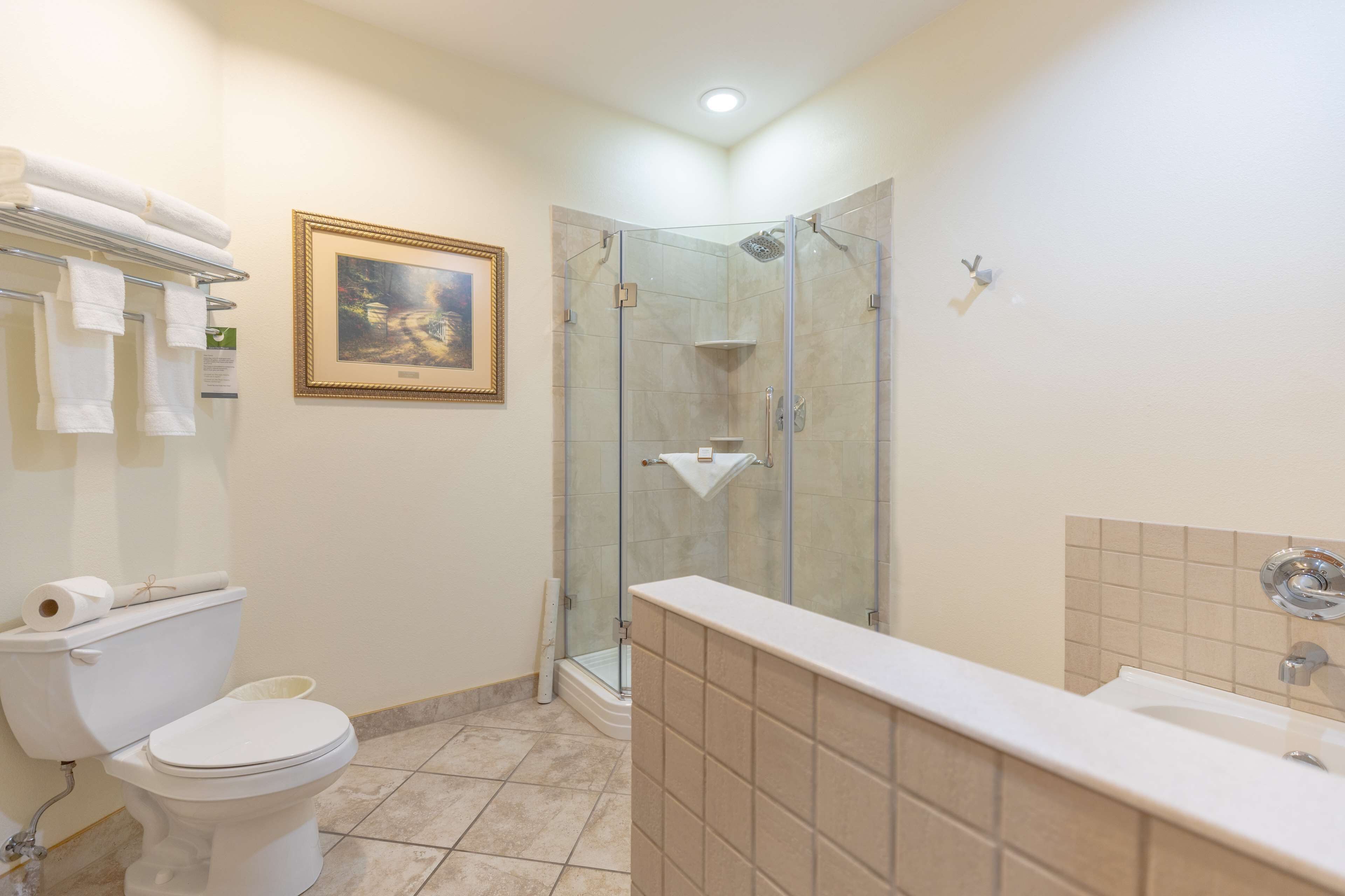 Une salle de bain comprenant des toilettes, une douche à parois de verre, un lavabo et un tableau encadré au mur.