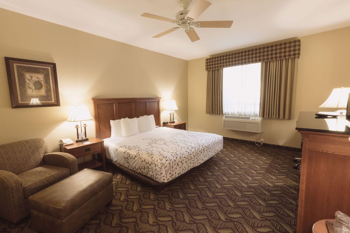 A hotel room with a bed, a desk, a chair, a ceiling fan, a window with curtains, and a framed picture on the wall.