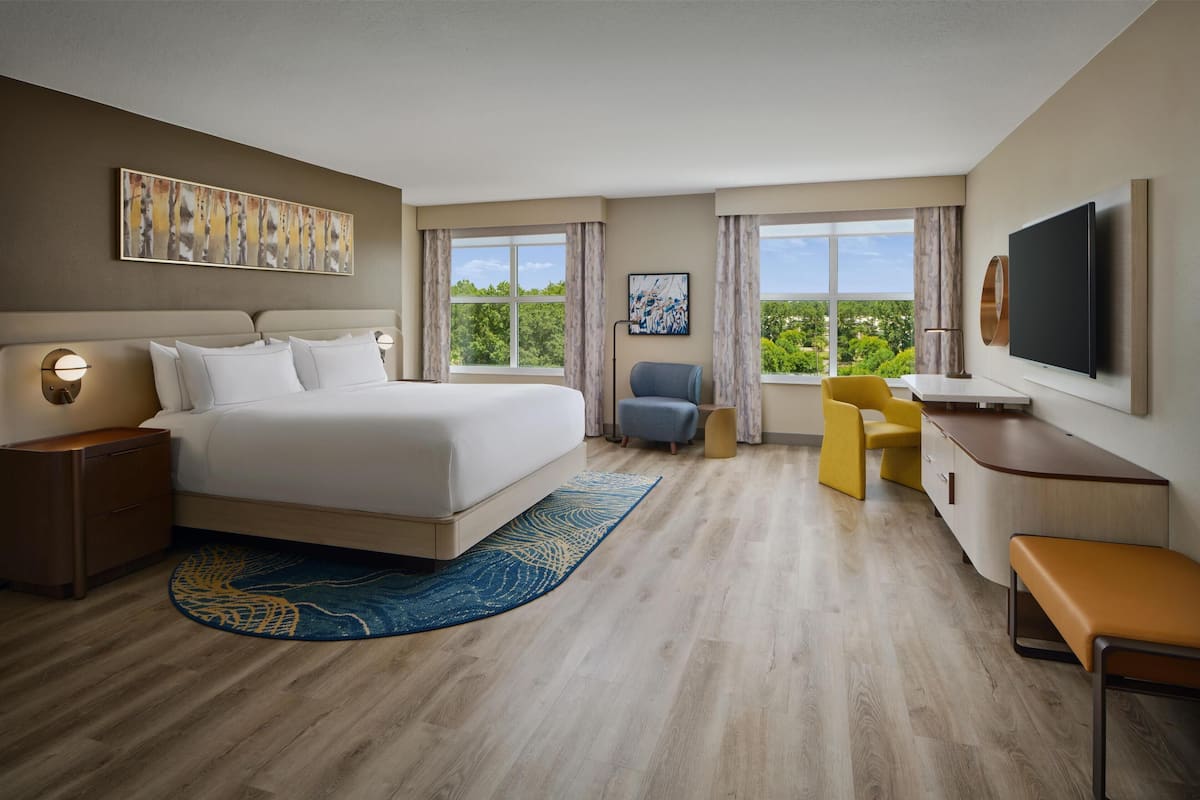 Room, 1 King Bed, Accessible, Bathtub (Mobility) | 1 bedroom, hypo-allergenic bedding, in-room safe, desk
