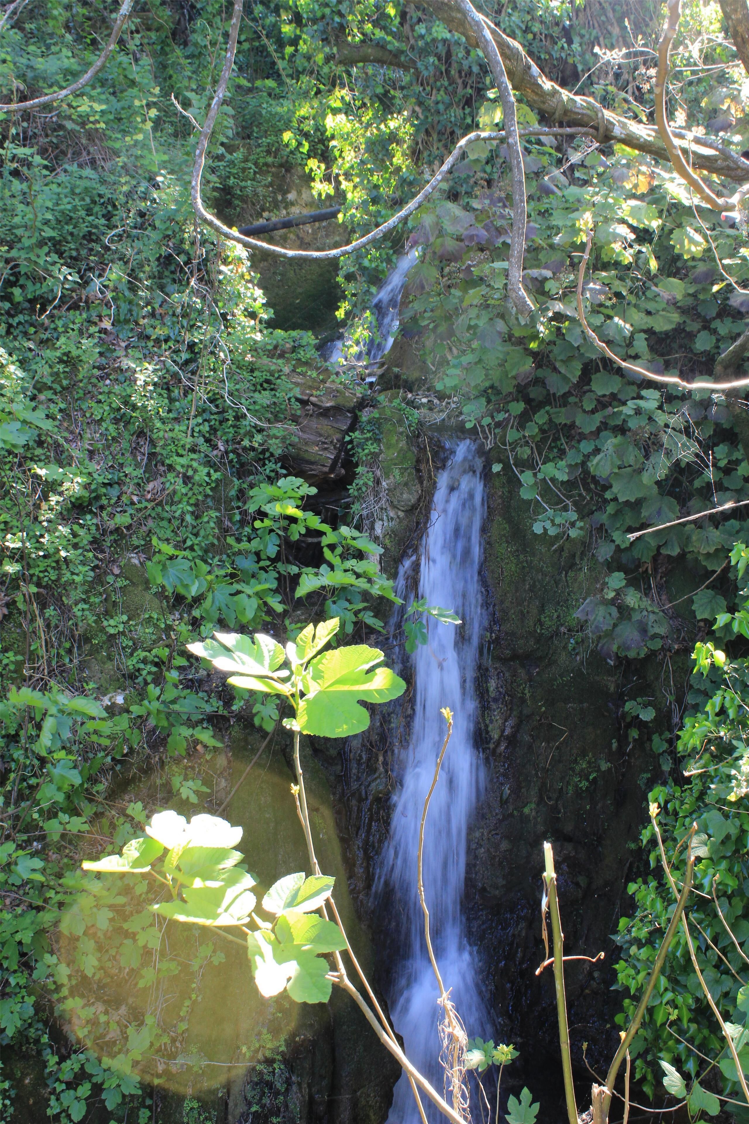 Foto - Bella Vista Beach Hotel