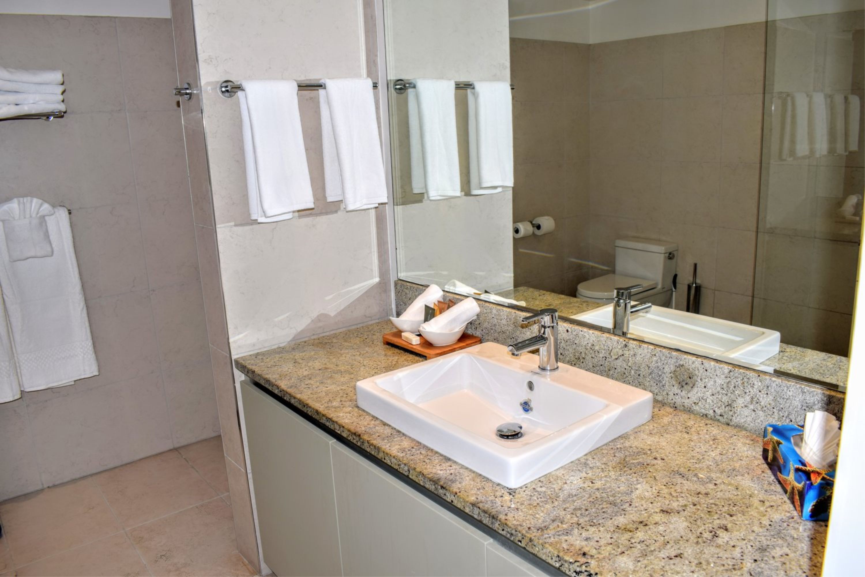 suite, 1 bedroom, oceanfront | bathroom | separate bathtub and shower, designer toiletries, hair dryer, bathrobes