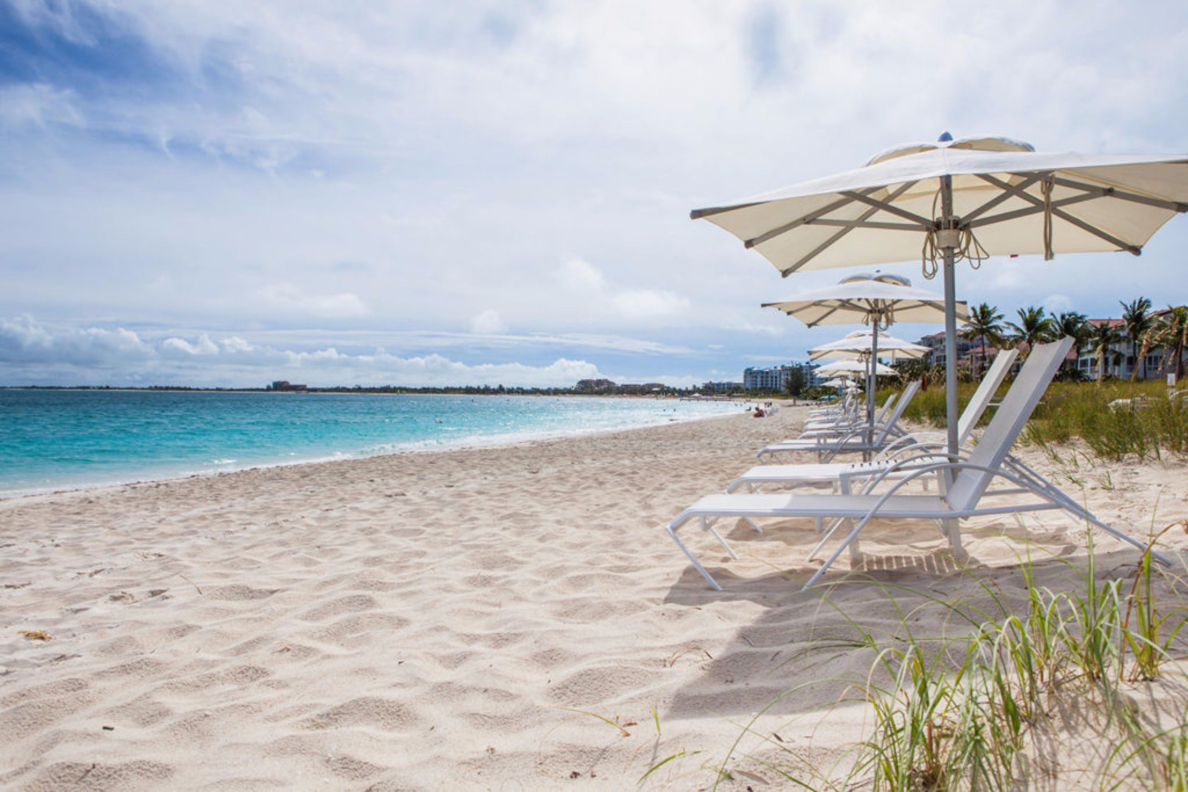 A beach with white lounge chairs and umbrellas, a sandy shore, and a calm sea.