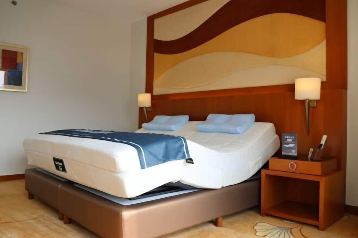 Minibar, in-room safe, blackout curtains, iron/ironing board