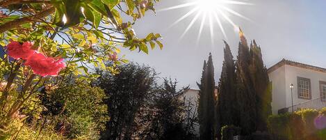 A garden with a sunlit sky, a white building, and tall cypress trees.